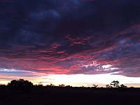 Pic-16 - Algebuckina Bridge - Oodnadatta Tk